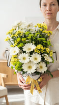 Daisy In Pot
