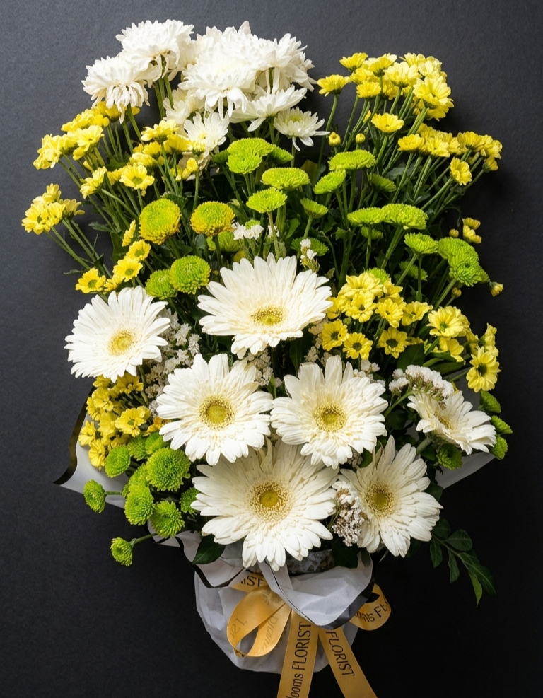 Daisy In Pot