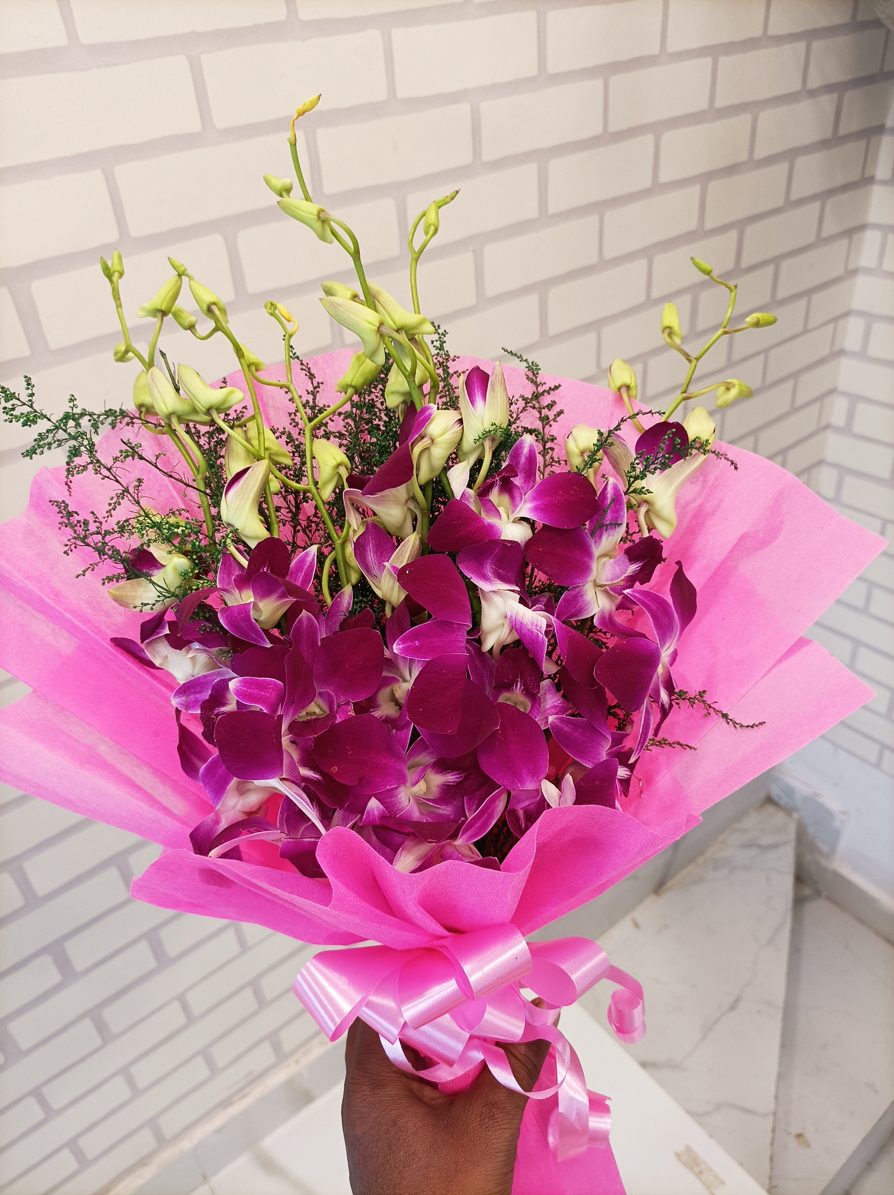 Mystic Orchid